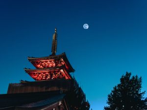 Read more about the article Moonlight and… sake! What is Tsukimi?