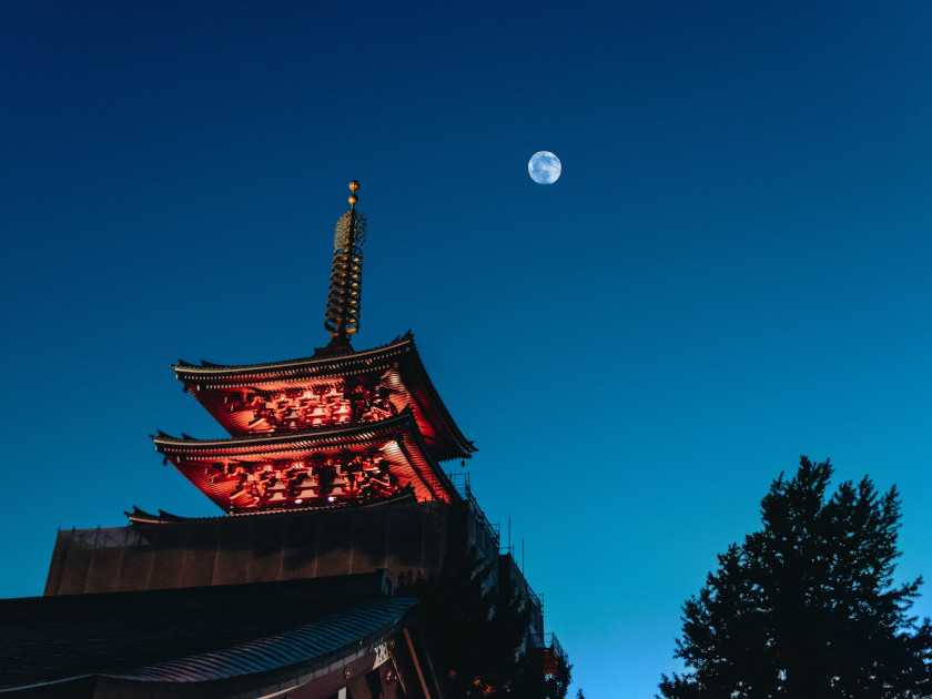 You are currently viewing Moonlight and… sake! What is Tsukimi?