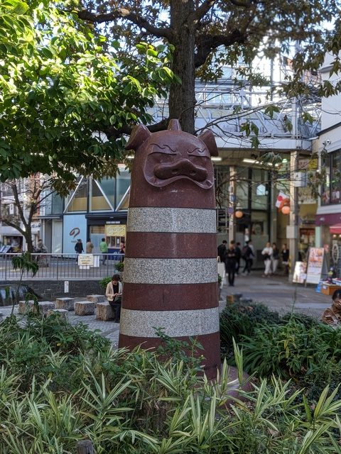 Piggy of Teramachi