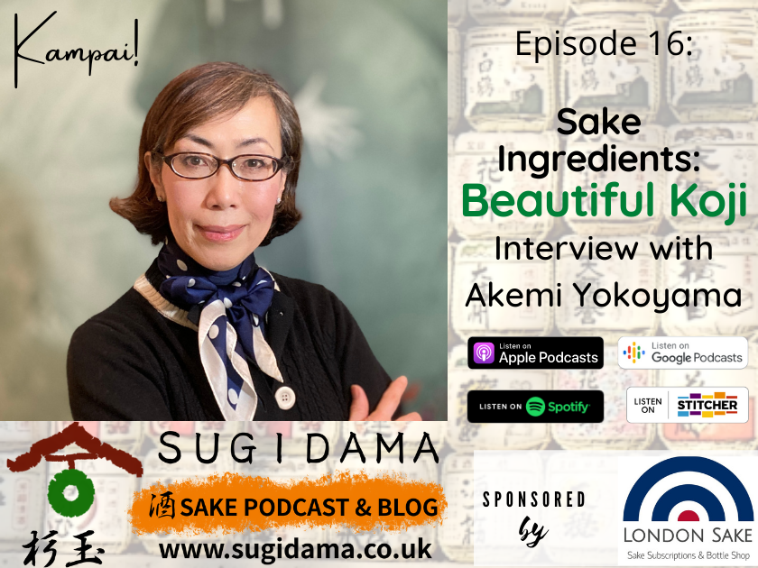 You are currently viewing Sake Ingredients: Beautiful Koji